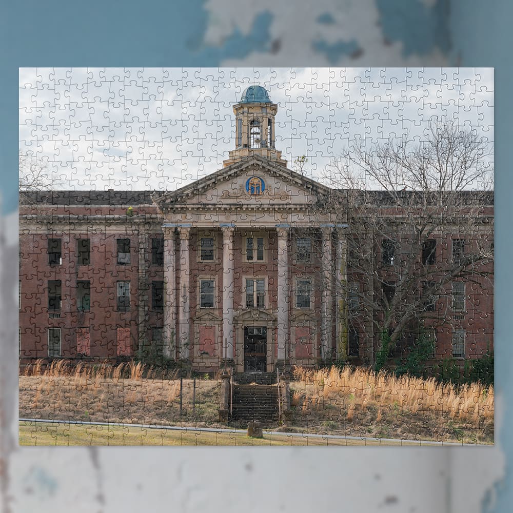 State Hospital Puzzle