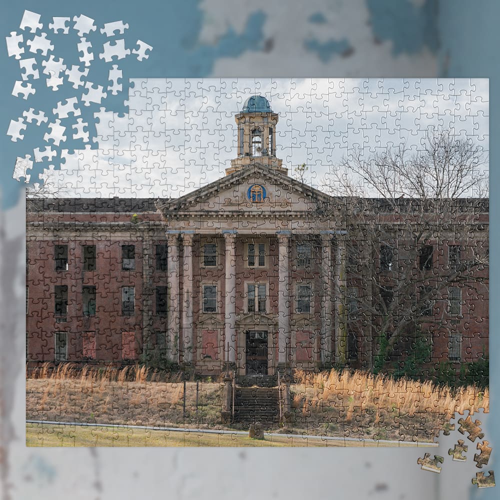 State Hospital Puzzle