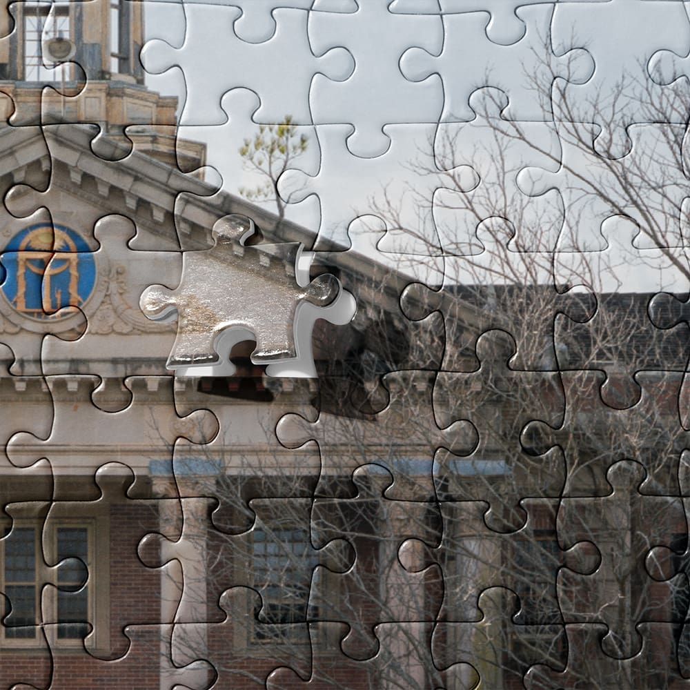 State Hospital Puzzle