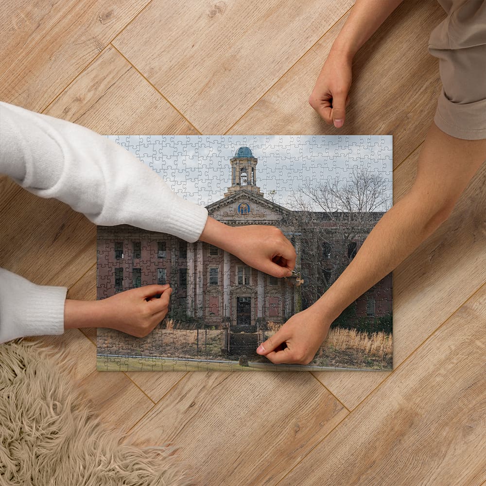 State Hospital Puzzle