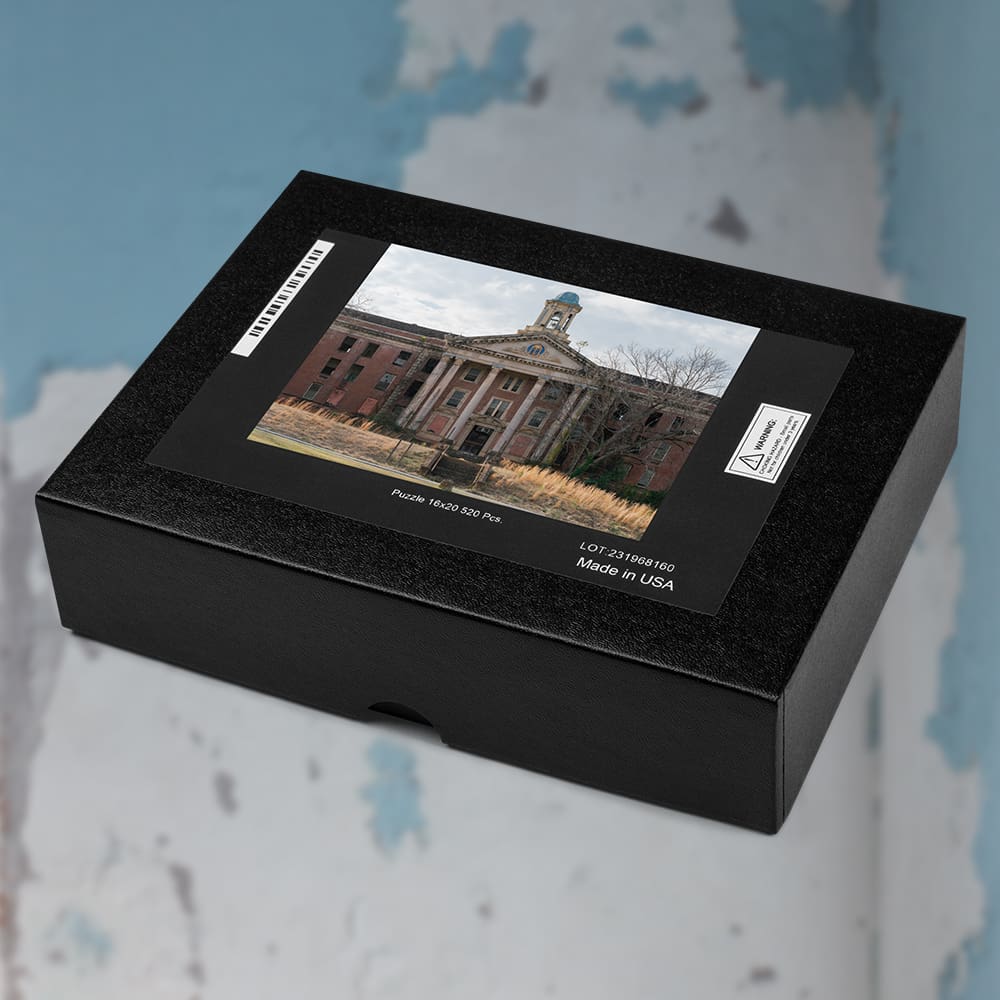 State Hospital Puzzle